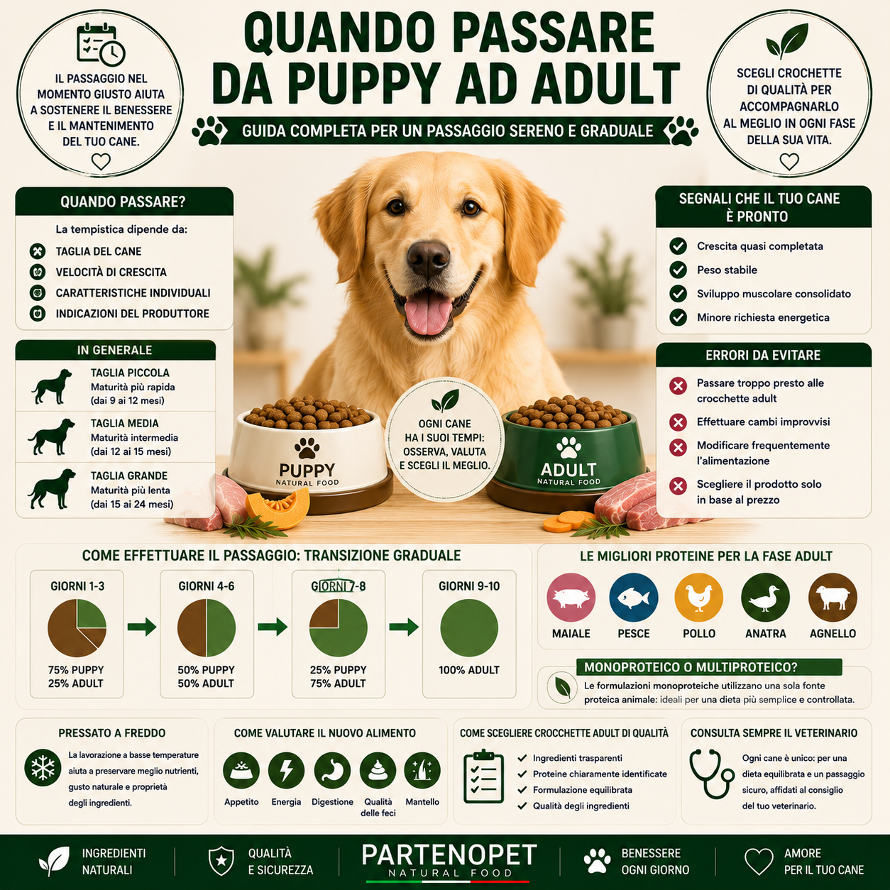 Quando Passare da Puppy ad Adult: Guida Completa