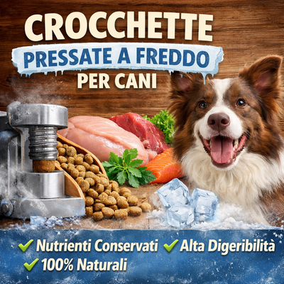 Crocchette pressate a freddo per cani: guida completa e benefici