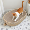 Tiragraffi in Juta per Gatti con Pallina | Cuccia e Gioco 57x36cm - Partenopet