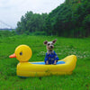 Salvagente per Cani Piccoli "Yellow Duck" 50x90cm | Corgi e Teddy - Partenopet