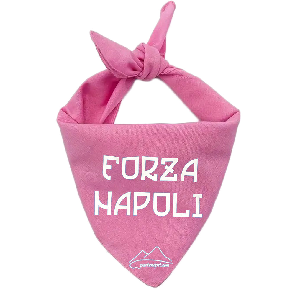 Bandana per cani con la scritta Forza Napoli di colore rosa