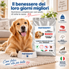 Partenopet Dog Adult Manzo 4 kg: caratteristiche del prodotto per cani adulti