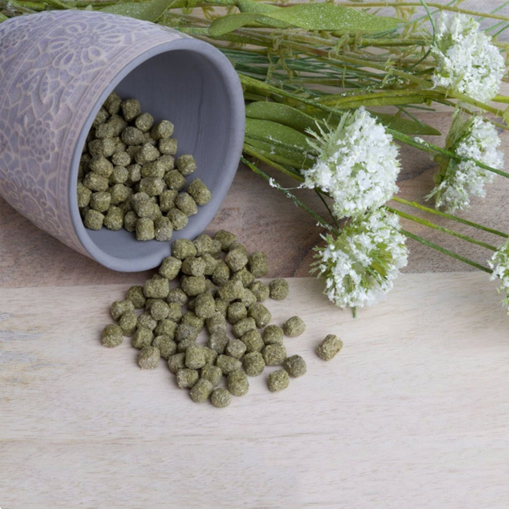 Barattolino di snack croccanti per roditori alle verdure Bunny da 30 g