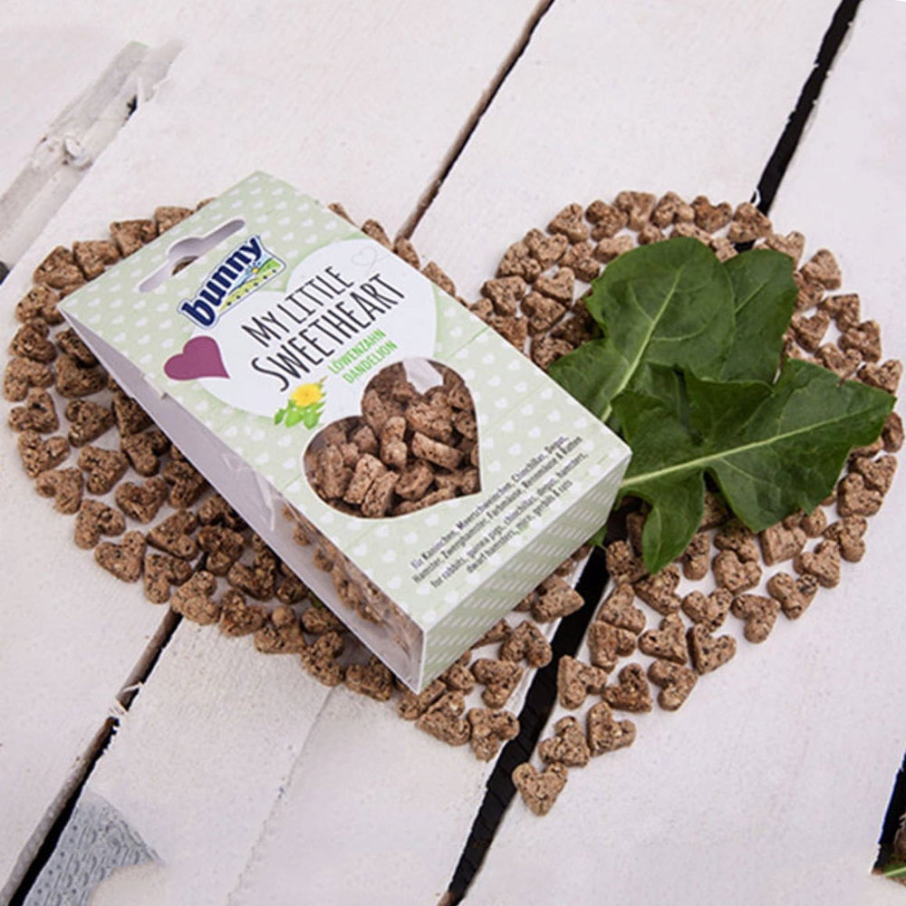 Snack per roditori a base di dente di leone Bunny