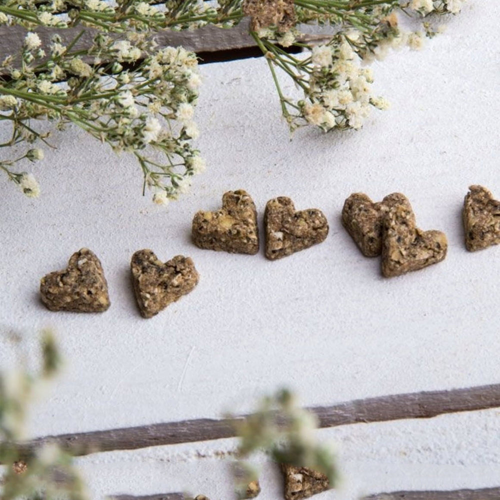 Snack per roditori a base di dente di leone Bunny