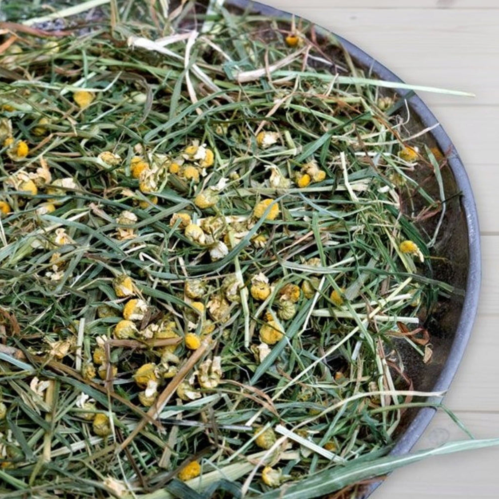 Busta di fieno alla camomilla Bunny da 500 g