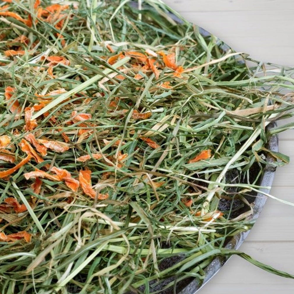 Busta di fieno alla carota per roditori Bunny da 500 g