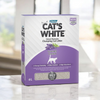 Scatola di lettiera agglomerante per gatti profumata alla lavanda Cat's White da 6 litri