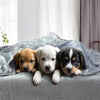 Coperta morbida per cani e gatti in flanella grigia, rosa e ciano con disegni di impronte, disponibile in tre misure, ideale per proteggere il divano.