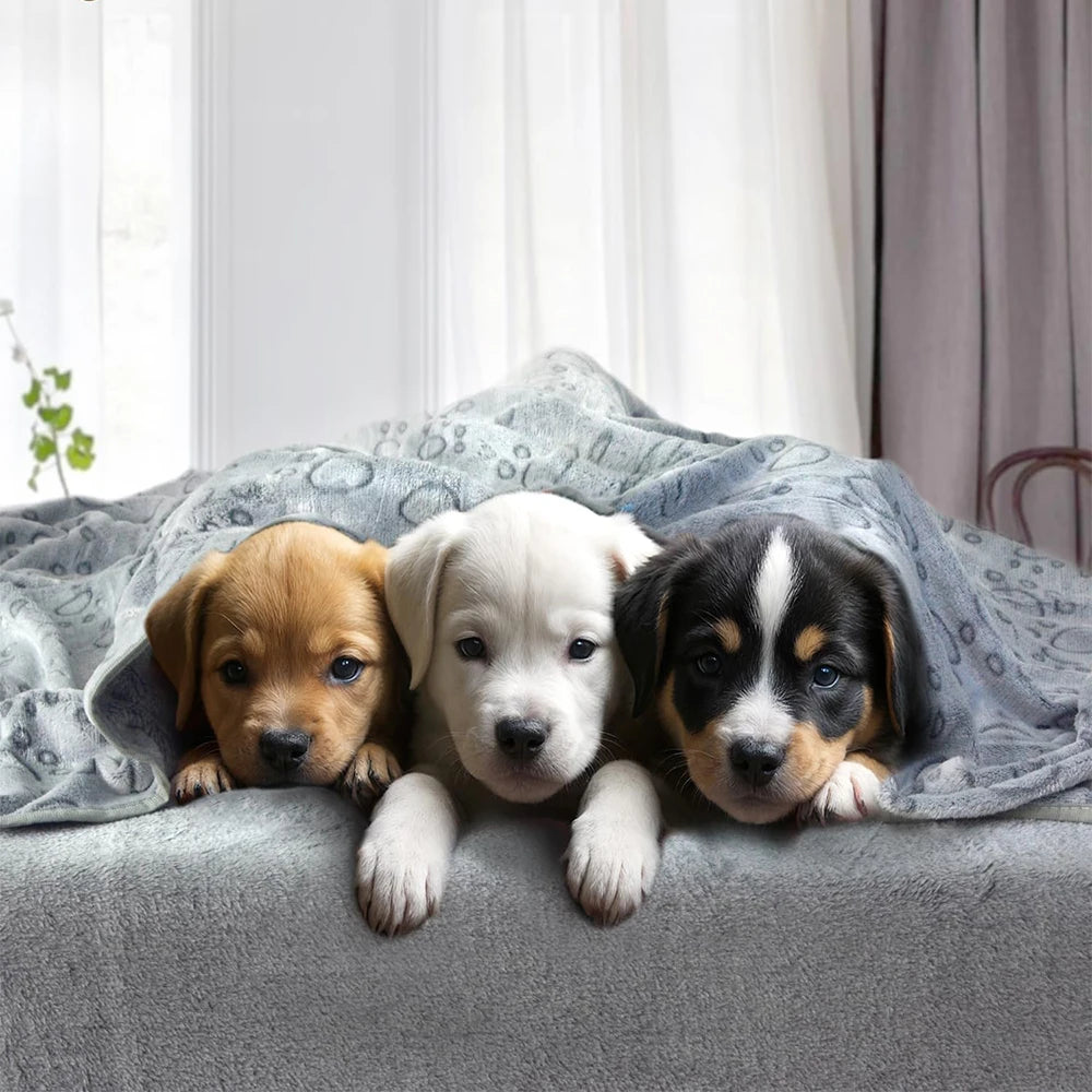 Coperta morbida per cani e gatti in flanella grigia, rosa e ciano con disegni di impronte, disponibile in tre misure, ideale per proteggere il divano.