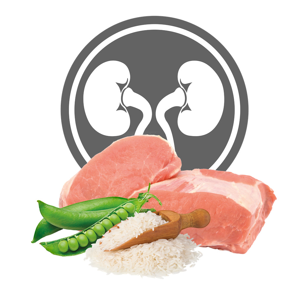 Exclusion Renal Phase I Gatti Alimento per Gatti con Insufficienza Renale 85 g