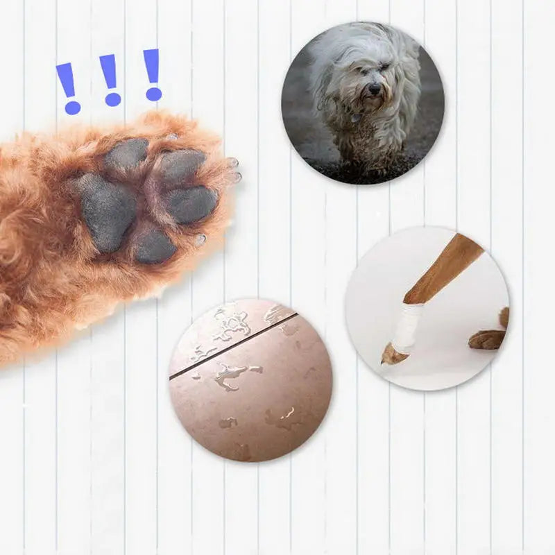 Stivaletti Impermeabili per Cani in Silicone Antiscivolo | M-XL