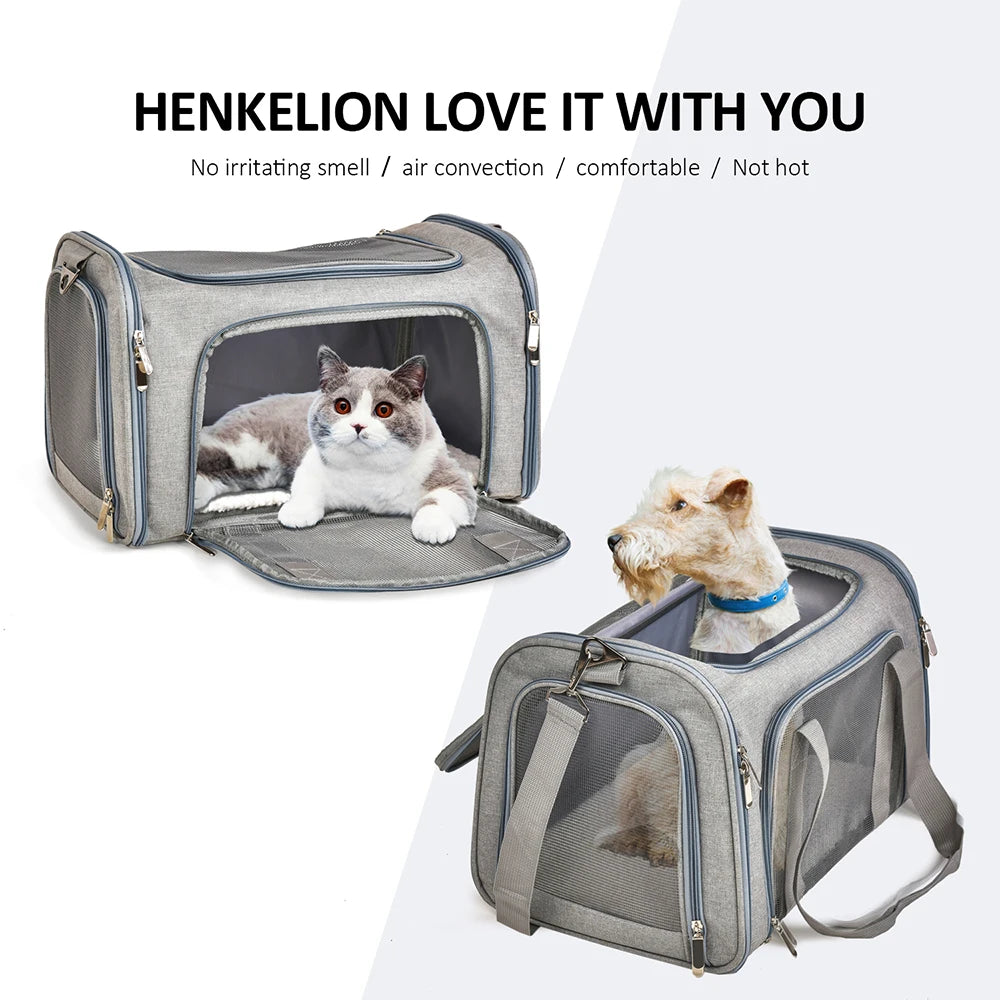 Trasportino Morbido per Cani e Gatti Omologato per Aereo – Borsa da Viaggio Impermeabile con Rete Antigraffio, Tracolla e Cuscino in Pile Removibile