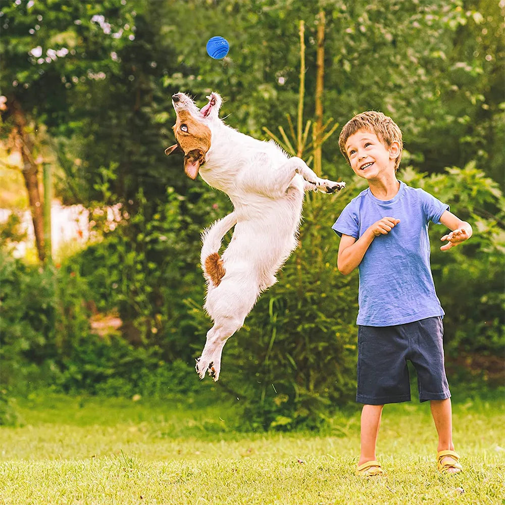 Palla per Cani in Gomma Resistente e Rimbalzante – Gioco da Mordere e Riporto