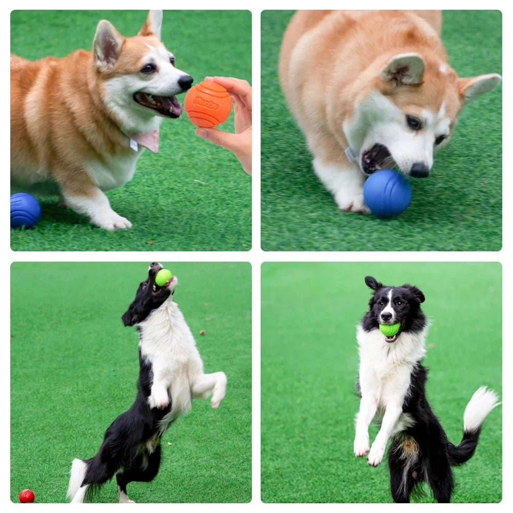 Palla per Cani in Gomma Resistente e Rimbalzante – Gioco da Mordere e Riporto