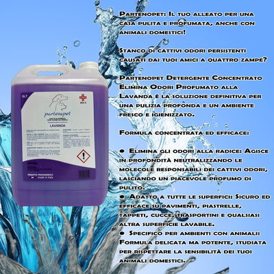 Partenopet Detergente Concentrato Elimina Odori per Tutte le Superifici Specifico per Ambienti con Animali alla Lavanda 5 L - Partenopet