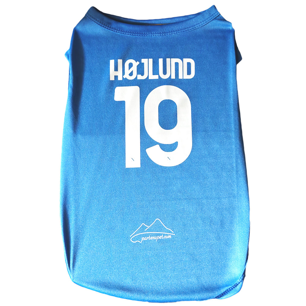 Maglietta blu azzurra per cani del Napoli personalizzata con scritta Højlund e numero 19, t-shirt sportiva per animali domestici