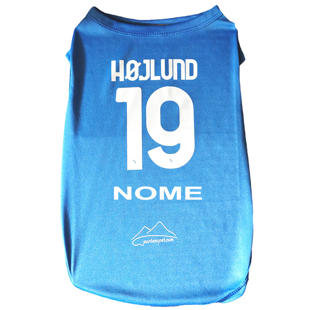Maglietta blu azzurra per cani del Napoli personalizzata con scritta Højlund e numero 19, t-shirt sportiva per animali domestici con personalizzazione del nome del cane