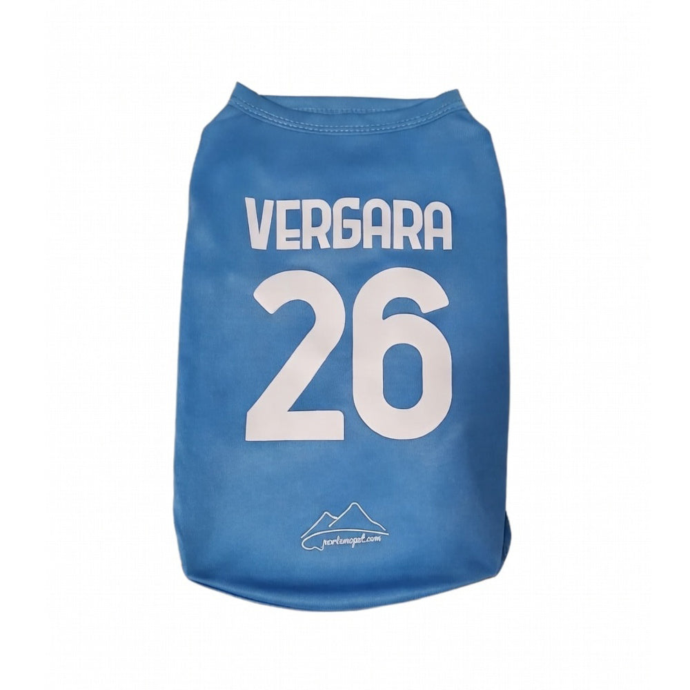 Maglietta blu azzurra per cani personalizzata con scritta Vergara e numero 26, abbigliamento sportivo per animali domestici tifosi del Napoli.