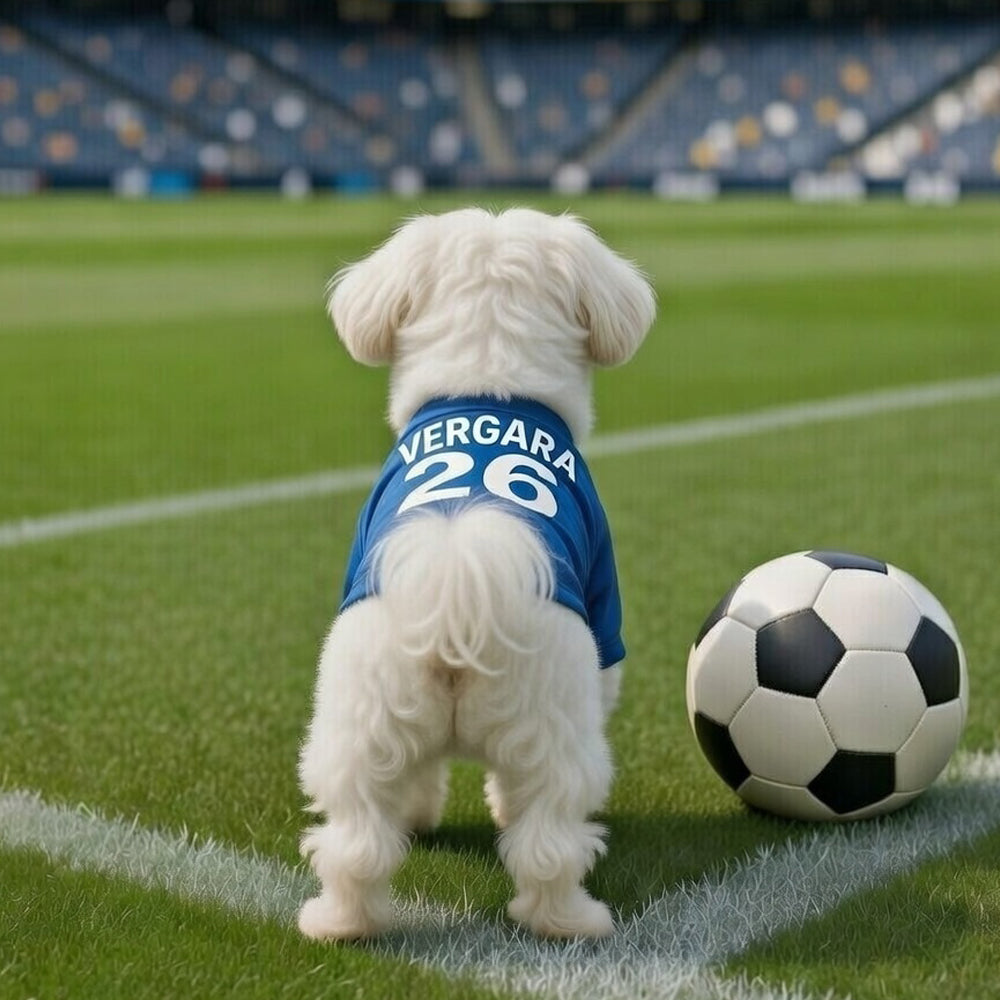 Maglietta blu azzurra per cani personalizzata con scritta Vergara e numero 26, abbigliamento sportivo per animali domestici tifosi del Napoli.