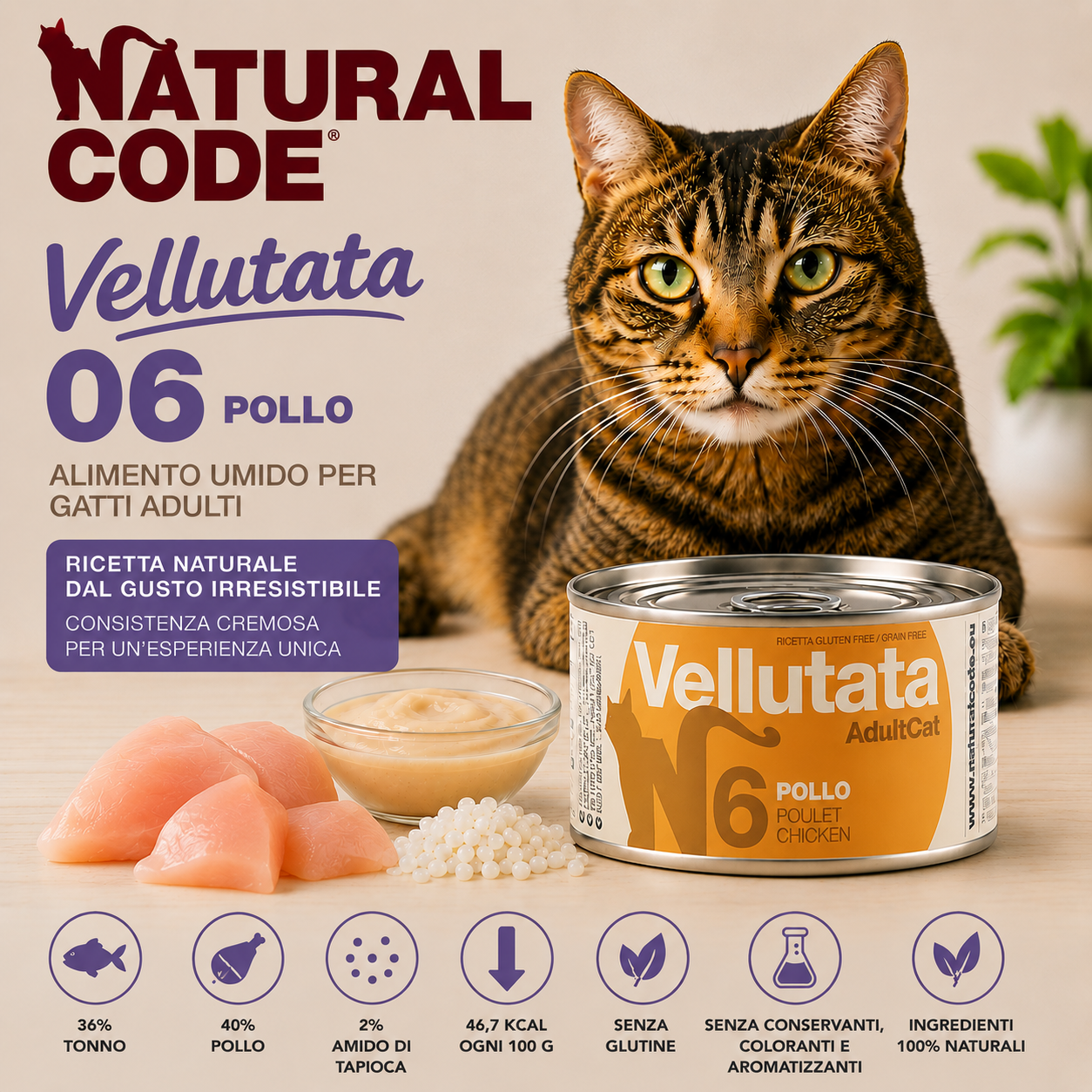 Natural Code Vellutata 06 Pollo alimento umido complementare naturale per gatti adulti 85 g senza glutine