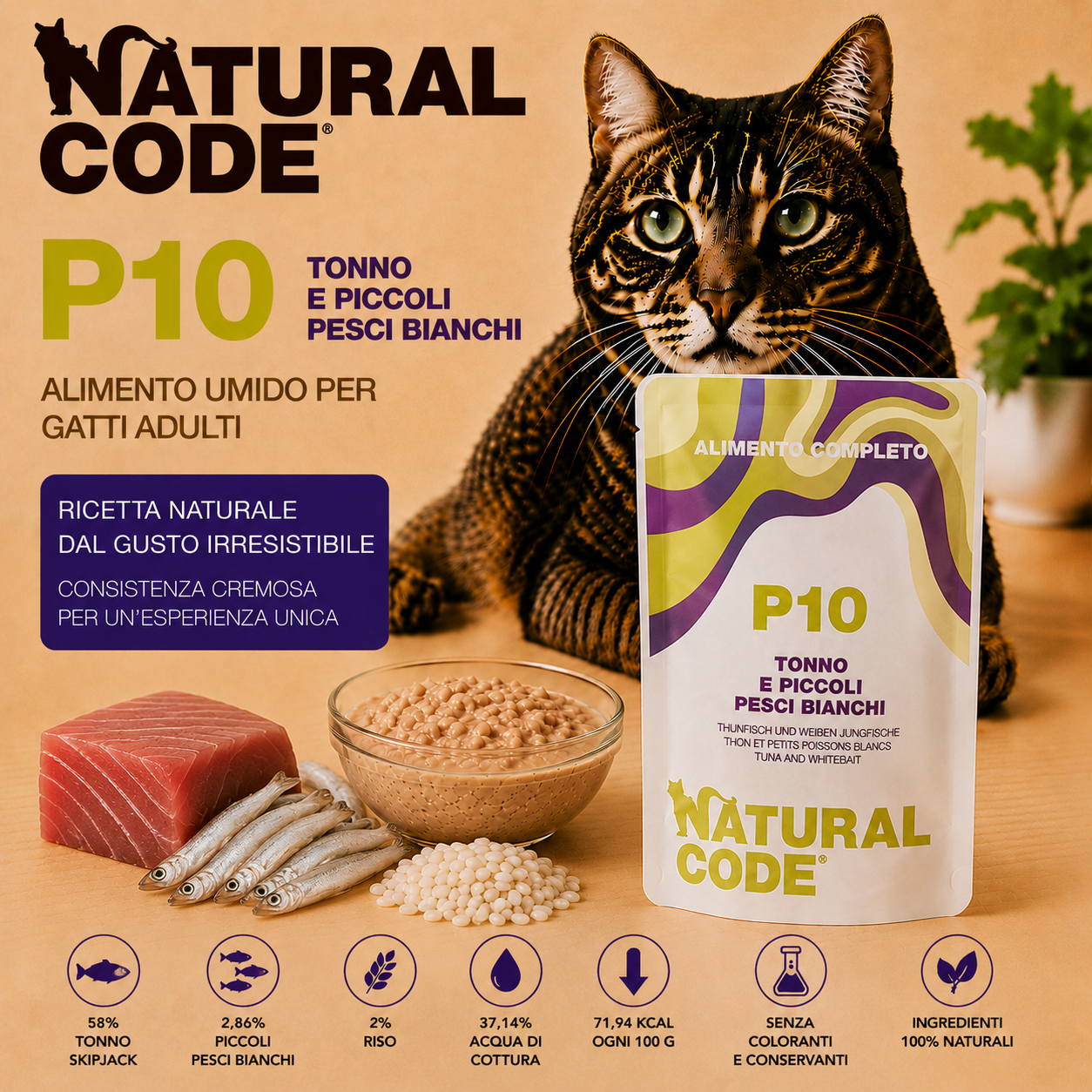 Natural Code P10 Tonno e Piccoli Pesci Bianchi alimento umido completo per gatti adulti bustina da 70 g con tonno Skipjack e piccoli pesci bianchi.