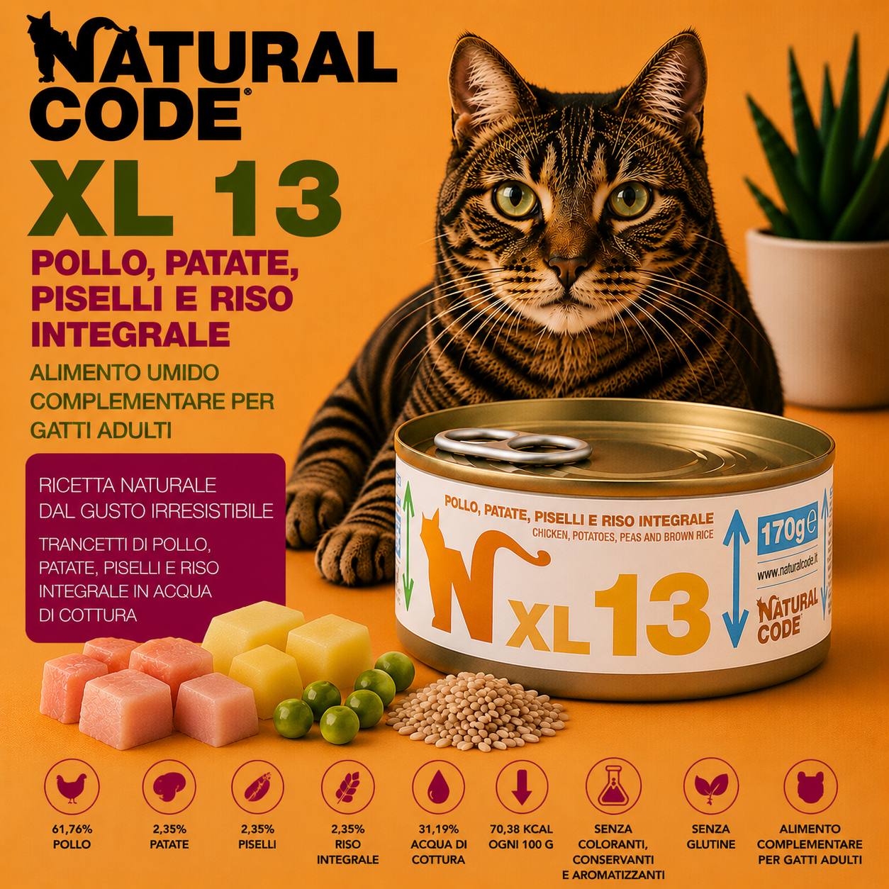 Natural Code XL13 Pollo Patate Piselli e Riso Integrale 170 g alimento complementare per gatti adulti in lattina.
