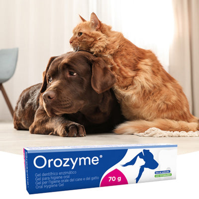 Tubetto di dentifricio in gel per la pulizia dei denti di cani e gatti. Confezione contente tubetto di dentifricio da 70 g, applicatore a imbuto e spazzolino a ditale. Marca Orozyme