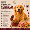 Partenopet Adult All Breeds Monoproteico Agnello e Zucca Crocchette per Cani 100% Naturali 2 kg - Partenopet