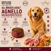 Partenopet Adult All Breeds Monoproteico Agnello e Zucca Crocchette per Cani 100% Naturali 2 kg - Partenopet