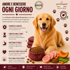 Partenopet Adult All Breeds Monoproteico Agnello e Zucca Crocchette per Cani 100% Naturali 2 kg - Partenopet