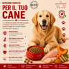 Sacco convenienza 12kg crocchette Partenopet Adult All Breeds Pollo e Zucca, alimento naturale monoproteico per cani pressato a freddo, Made in Italy senza conservanti.