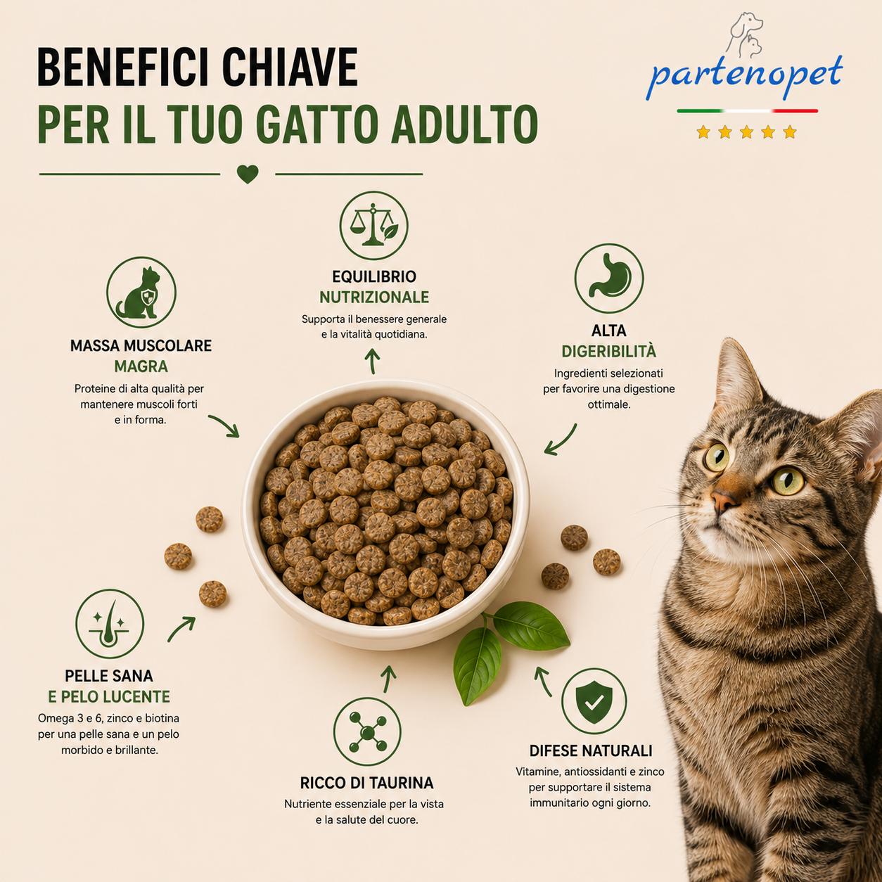 Sacco convenienza 10kg crocchette Partenopet Adult Cat al maiale, alimento naturale per gatti adulti pressato a freddo prodotto in Italia, senza conservanti né coloranti.