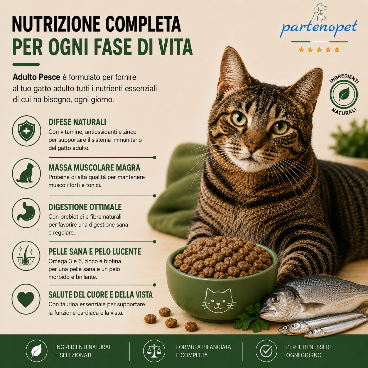 Sacco da 10 kg crocchette Partenopet Adult Cat al pesce, alimento naturale per gatti adulti pressato a freddo prodotto in Italia, senza conservanti né coloranti, con Taurina e Curcuma.