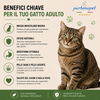 Sacco convenienza 10kg crocchette Partenopet Adult Cat al pollo, alimento naturale per gatti adulti pressato a freddo prodotto in Italia, senza conservanti né coloranti, con Taurina e Curcuma.
