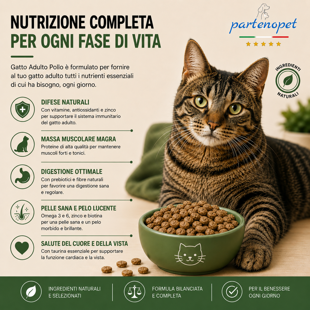 Sacco convenienza 10kg crocchette Partenopet Adult Cat al pollo, alimento naturale per gatti adulti pressato a freddo prodotto in Italia, senza conservanti né coloranti, con Taurina e Curcuma.