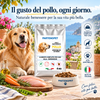 Crocchette Partenopet Adult Pollo 4 kg: dettaglio della ricetta
