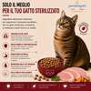Sacco da 10 kg crocchette Partenopet Adult Cat al maiale, alimento naturale per gatti adulti pressato a freddo prodotto in Italia, senza conservanti né coloranti.