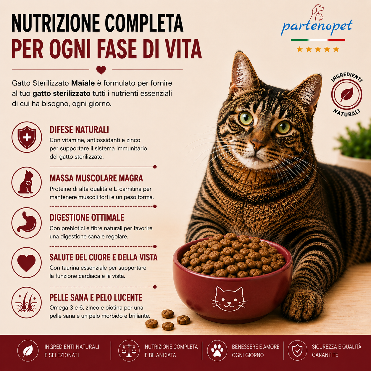 Sacco da 10 kg crocchette Partenopet Adult Cat al maiale, alimento naturale per gatti adulti pressato a freddo prodotto in Italia, senza conservanti né coloranti.