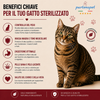 Sacco da 1,5 kg crocchette Partenopet Adult Cat al maiale, alimento naturale per gatti adulti pressato a freddo prodotto in Italia, senza conservanti né coloranti.