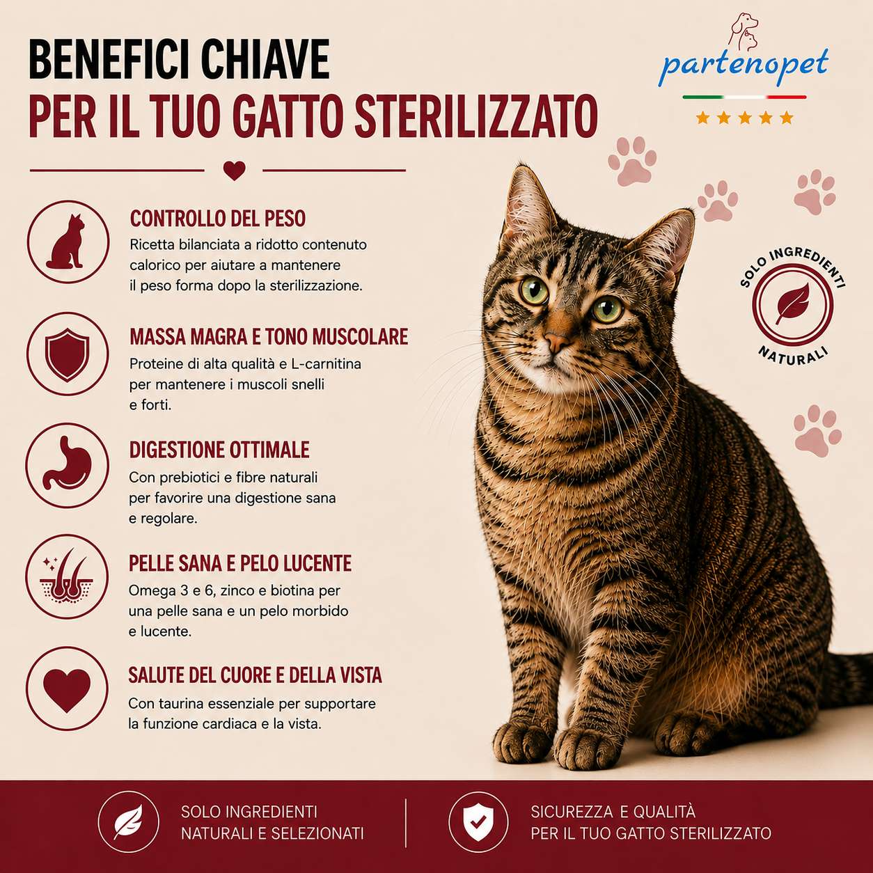Sacco da 1,5 kg crocchette Partenopet Adult Cat al maiale, alimento naturale per gatti adulti pressato a freddo prodotto in Italia, senza conservanti né coloranti.