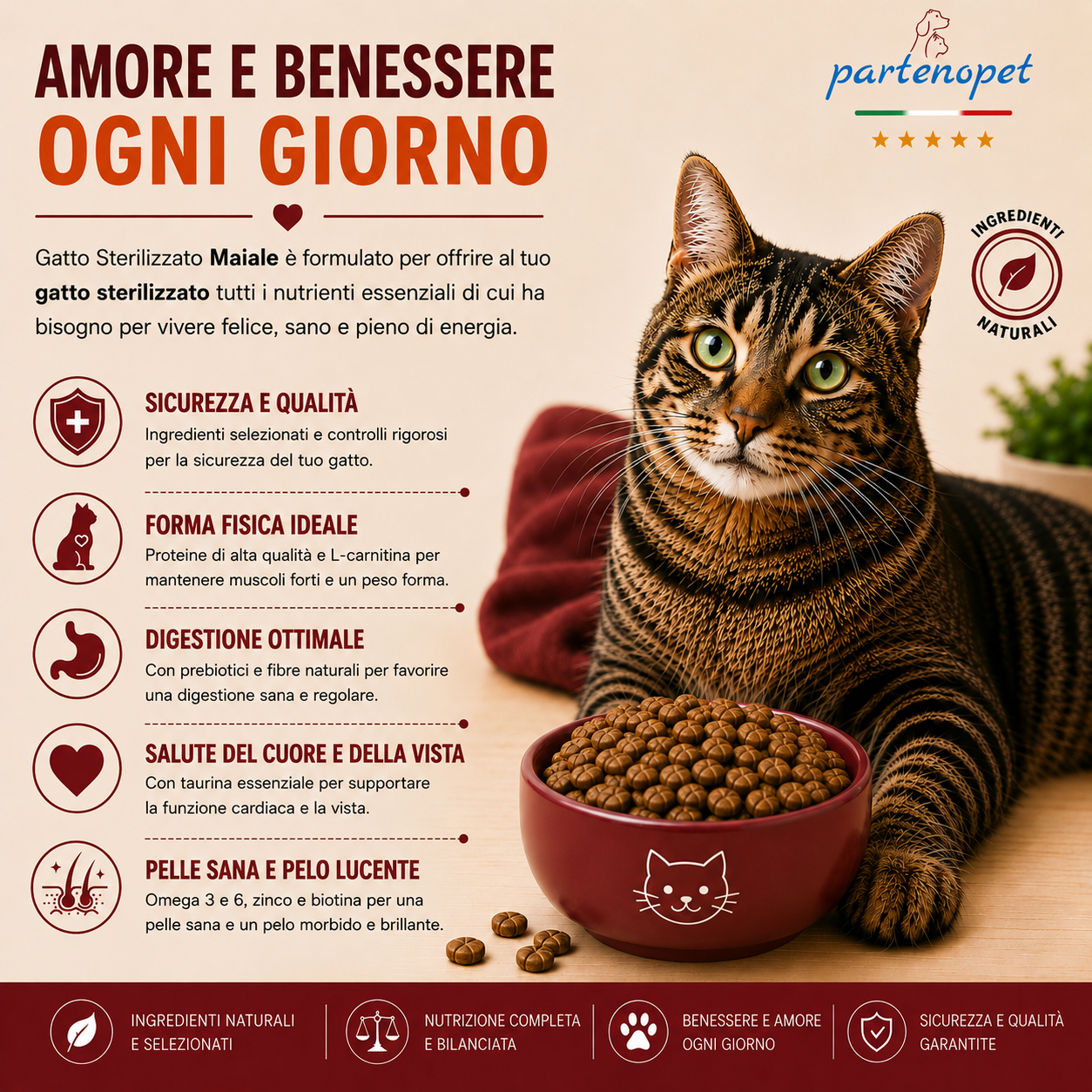 Sacco da 1,5 kg crocchette Partenopet Adult Cat al maiale, alimento naturale per gatti adulti pressato a freddo prodotto in Italia, senza conservanti né coloranti.