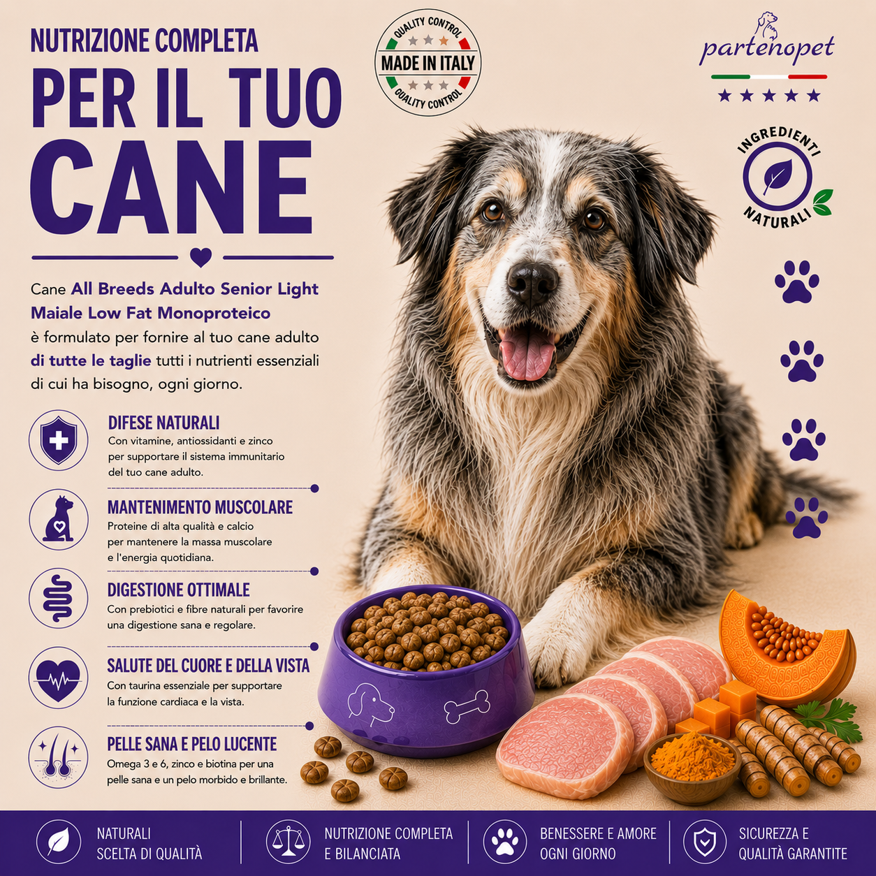 Sacco da 2kg di crocchette Partenopet Senior Light al Maiale, alimento per cani anziani pressato a freddo, naturale e monoproteico, con zucca e curcuma.