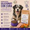 Sacco da 2kg di crocchette Partenopet Senior Light al Maiale, alimento per cani anziani pressato a freddo, naturale e monoproteico, con zucca e curcuma.