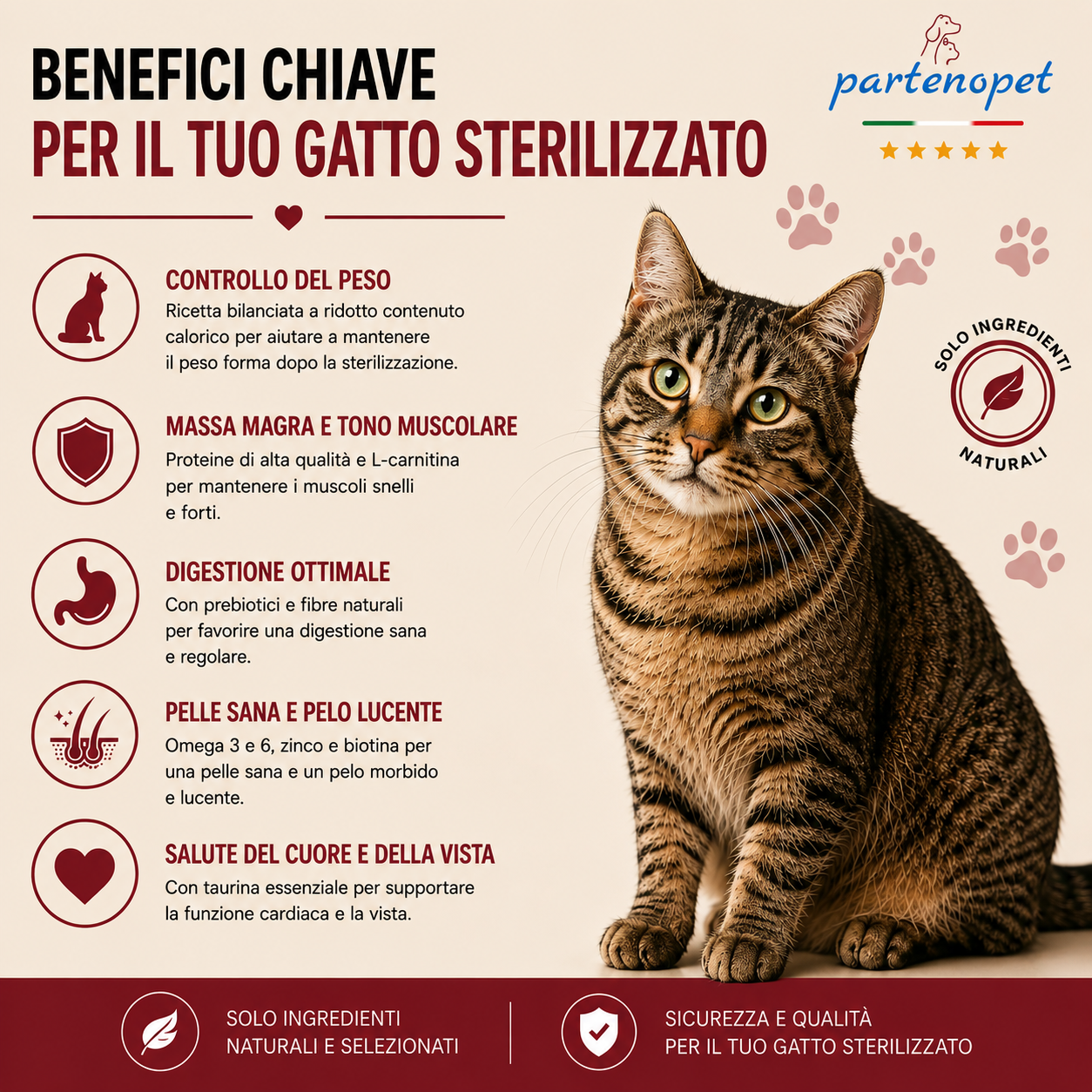 Busta di crocchette al pesce per gatti sterilizzati pressate a freddo senza conservanti e coloranti marca Partenopet da 10 kg