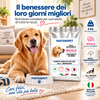 Tabella della razione giornaliera indicativa delle crocchette Partenopet Dog Adult Maiale per cani adulti
