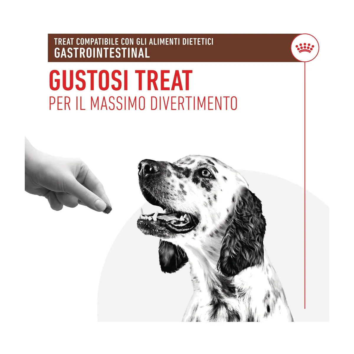 Busta di snack per cani con problemi gastrici Royal Canin Treats Gastrointestinal 230 g