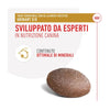 Busta di snack per cani con problemi urinari Royal Canin Treats Urinary S/O da 230 g