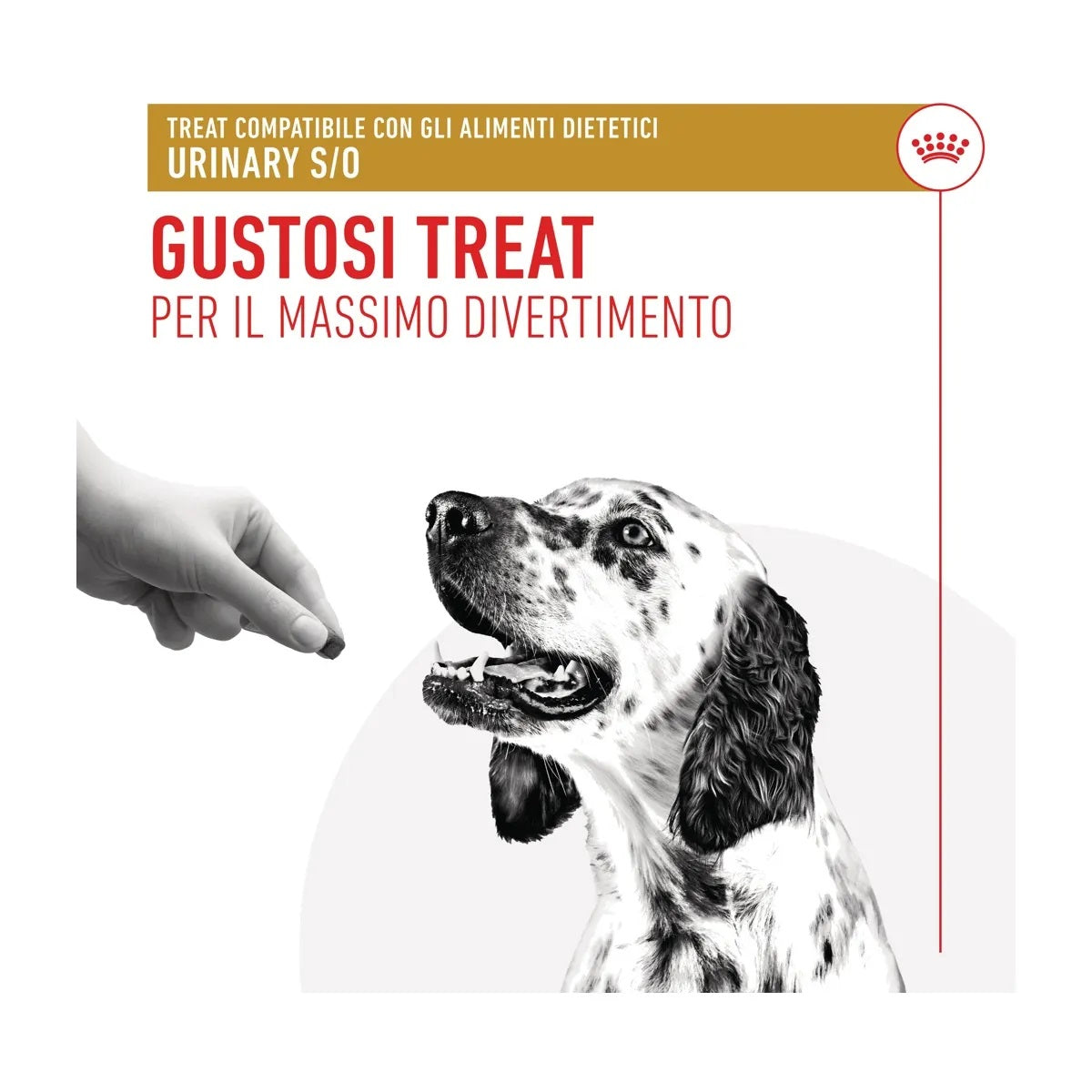Busta di snack per cani con problemi urinari Royal Canin Treats Urinary S/O da 230 g