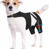 Tutore Doppio per Zampe Posteriori del Cane | Supporto Ginocchia Regolabile XS-XXL